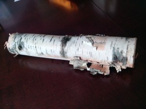 Birch straight from the firewood pile.